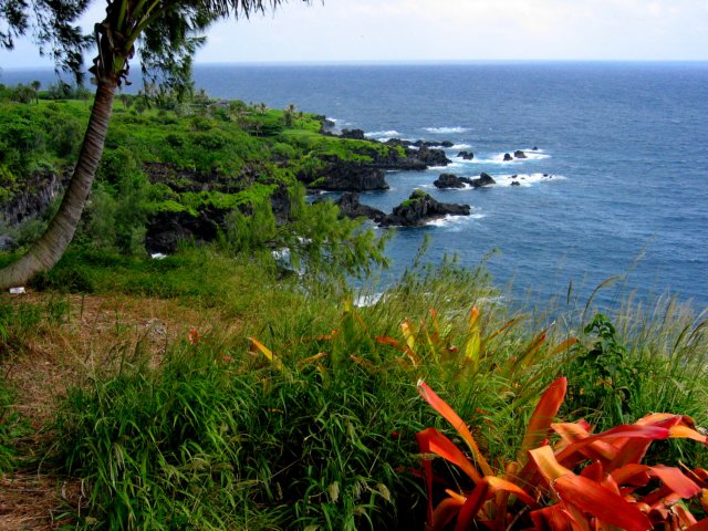 Photograph